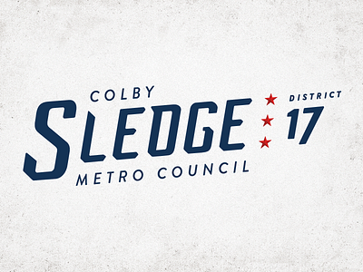 Metro Council Campaign Logo