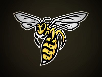 Fairview Yellow Jackets