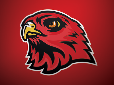 Ravenwood Raptors bird falcon football hawk illustration mascot raptor sports branding williamson county