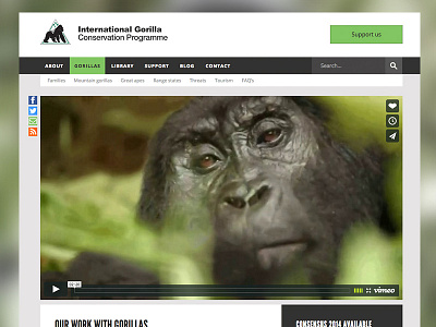 IGCP re-design ffi gorillas wildlife