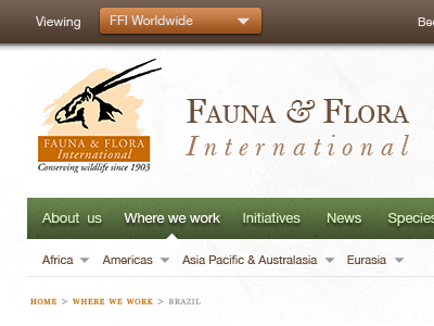 Fauna and Flora International re-design brown fauna and flora green mud orange