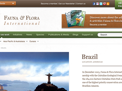 Fauna and Flora International re-design brown fauna and flora greem mud orange