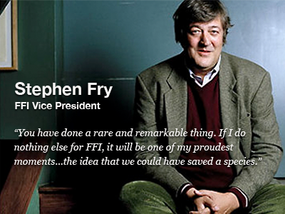 Fauna and Flora International re-design fauna and flora quotes stephen fry
