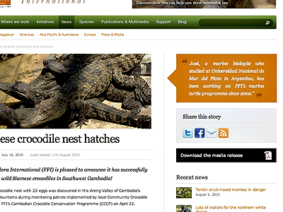 Scaled down version of the news page on the new FFI site crocadiles georgia orange