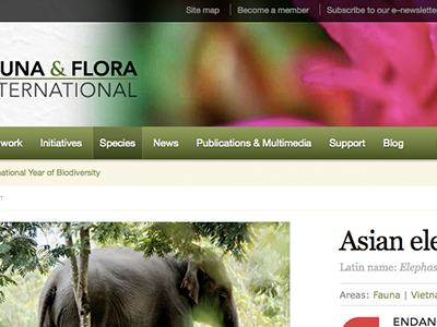 Fauna and Flora International re-design