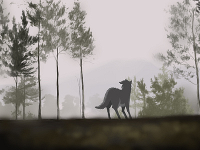 wolf in forest