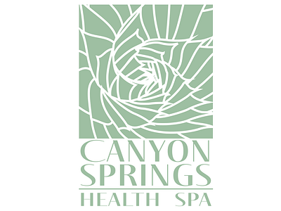 Brand Identity: Canyon Springs