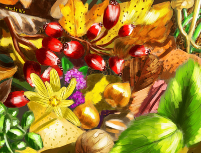 Harvest 2d autumn colors design fall fruits graphic design harvest illustration leaves sun vegetables