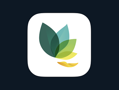 Oak App Icon app app icon app icon logo application design icon ios iphone logo ui