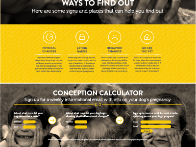 Conception Calculator design interactive web