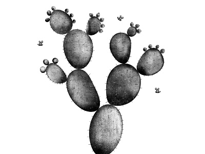 Nopales y abejas art black white draw drawing illustration