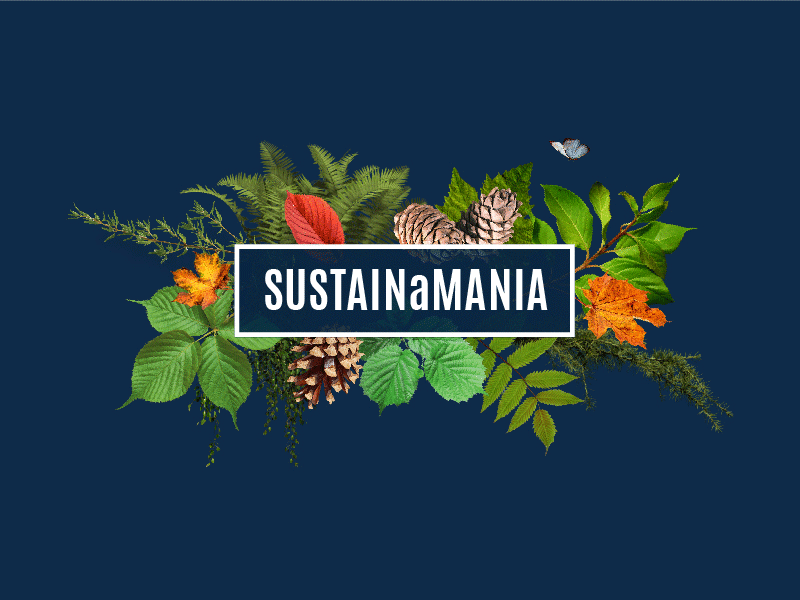 Sustain-a-Mania branding eco-friendly environment green leaf nature pattern sustainability texture