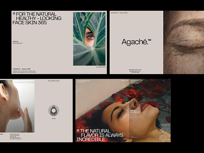 Agache Layout beauty branding design header layout logo product skin skincare skincareherbal typography ui user interface web design