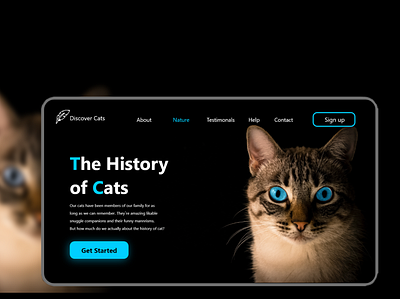 Web (History of cat) ui ux ui design ui designers ui designs uidesign uidesigner uidesigns uidesing uiux ux design