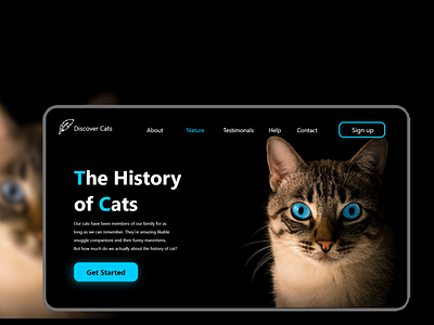 Web (History of cat)