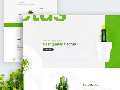 Cactus Landing Page Design Concept .. app landing page cactus cactus landing page dribbble best shot landing page