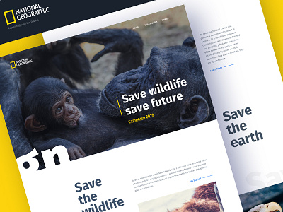 Save wildlife, Save future animal. national geography color creative design gmail google gradient typography ui ux