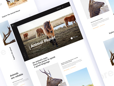 Animals are the bridge between us and the beauty app app design app landing page atriclex creative dribbble best shot illustration landing page new product profile template