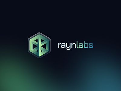 Rayn Labs branding design flat illustration logo minimal vector