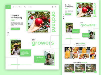 Landing Page for an orchard website