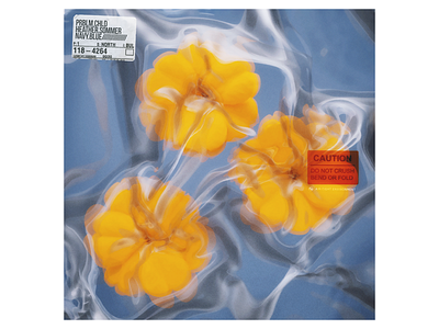 Prblm Chld - Navy Blue 3d abstract album art blender blue cd cover ep flowers lp orange sleeve warml yellow