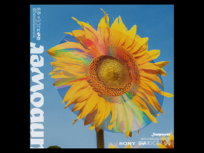 Ex.275 album art blue cd ep flower grain lettering lp music rainbow sleeve sunflower typography vintage vinyl