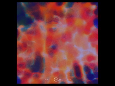 Ex.295 abstract album art blob blur colorful ep grain lofi music noise peaceful vinyl