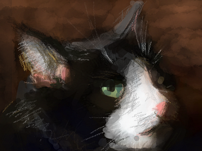 MY CAT black cat eye sketch