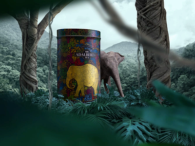 AD'Alberts Tea TV Spot Key Visual 2d advert design elephant illustration kv packshot spot tea tv