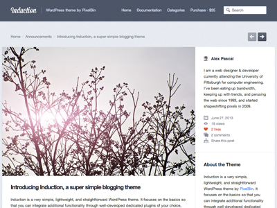 Induction WordPress Theme blogging clean theme themeforest tumblog white wordpress