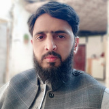 Syed Saqib Hussain shah
