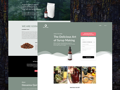 Landing Page - Seeds Of Vitality coaches elementor landing page design minimalist