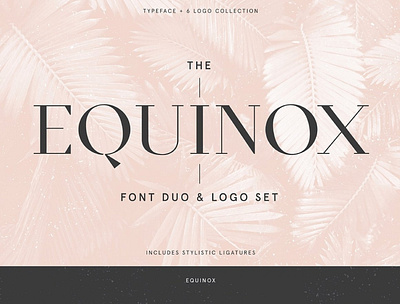 Equinox Stylish Font duo & logo set design illustration logo typography