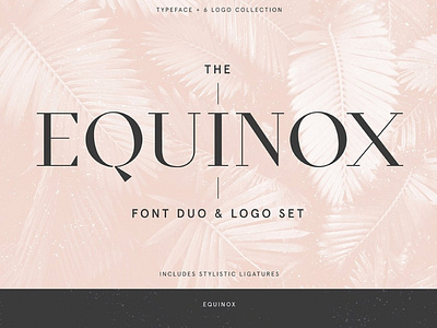 Equinox Stylish Font duo & logo set