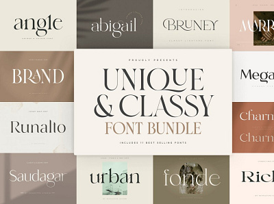 Unique & Classy Modern Font Bundle branding design icon illustration logo photos typography ui ux vector