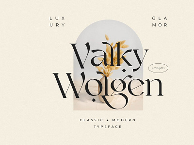 Valky Classic Modern Typeface branding design icon illustration logo photos typography ui ux vector