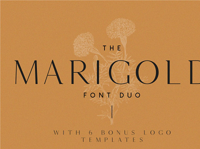 Marigold - Font duo and logo set branding design icon illustration logo photos typography