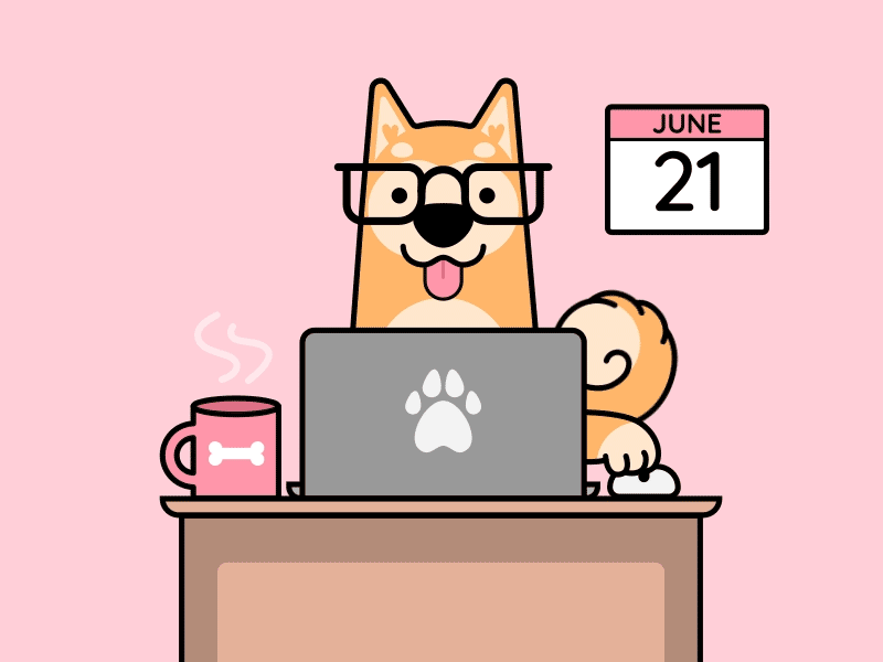 Take Your Dog to Work Day! 2d animation character design dog illustration illustrator motion motion graphics office pink shiba vector working