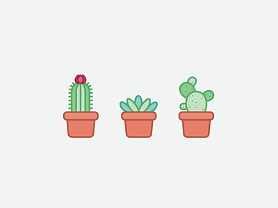 Succulents cacti cactus flat icons plants succulents