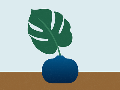 Monstera flat illustration monstera plants