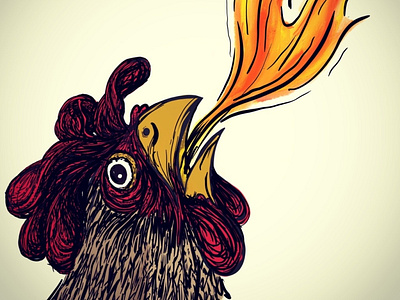 Pollo del Feugo illustration procreate app