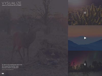 VYSUALIZE WordPress Theme