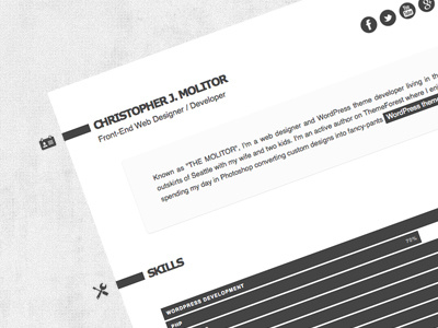 The Applicant cv flat jquery resume skills themeforest