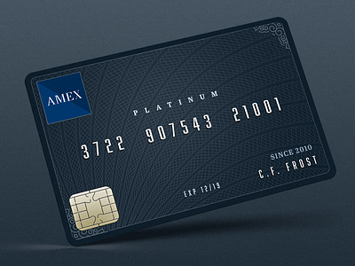 American Express Credit Card designs, themes, templates and downloadable  graphic elements on Dribbble