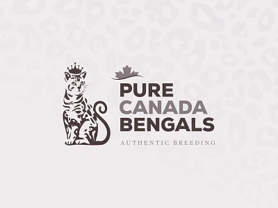 Pure Canada Bengals logo bengals branding canada e commerce icon logo minimal