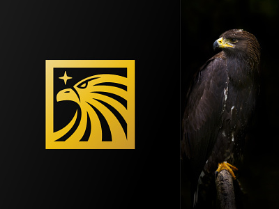 Dream Eagle Logo