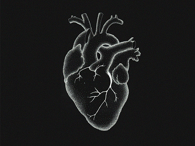 Heart illustration anatomic black dots dotwork finelier heart illustration white