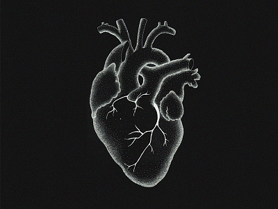 Heart illustration