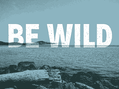 Be Wild [Low-res] art fun lowres optimized art photoshop poster web wild