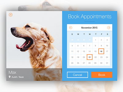 Book Vet Visit animals appointments austin blue dog orange texas ui ux